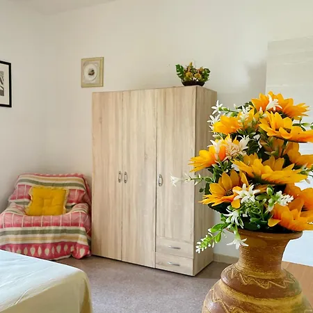 Apartment Domus Lucae